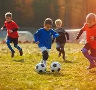 海港荣耀再,奥斯卡缺席,穆卡尔特独,乐鱼体育,乐鱼体育,LeYu,Sports,乐鱼体育官网