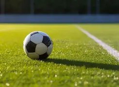 乐鱼体育,资讯,LeYu,乐鱼体育,乐鱼体育,LeYu,Sports,乐鱼体育官网