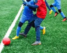 乐鱼体育,资讯,LeYu,乐鱼体育,乐鱼体育,LeYu,Sports,乐鱼体育官网