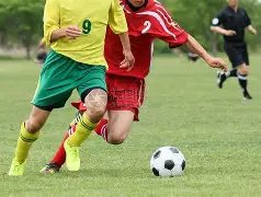 沧州雄狮初,期表现欠佳,间歇期或迎,乐鱼体育,乐鱼体育,LeYu,Sports,乐鱼体育官网