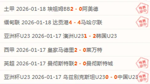 “追踪缅甸妙瓦底电诈团伙押解回国纪实”