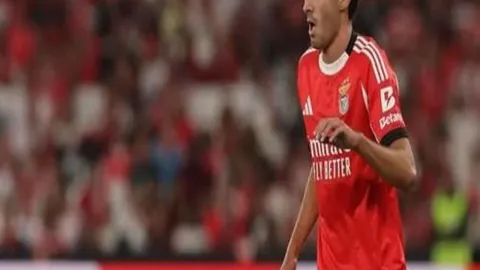 J联赛名古屋鲸八对大阪樱花，专家解析期号质合分析推荐