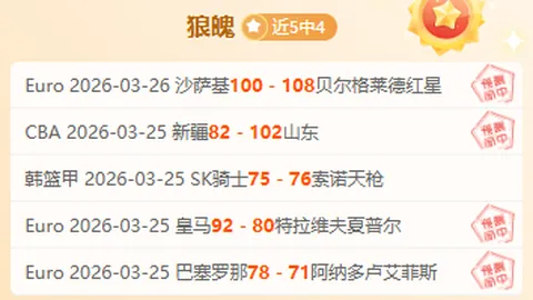 孫興慜風趣魅力爆棚，埃莫森高度評價其韓流魅力展現